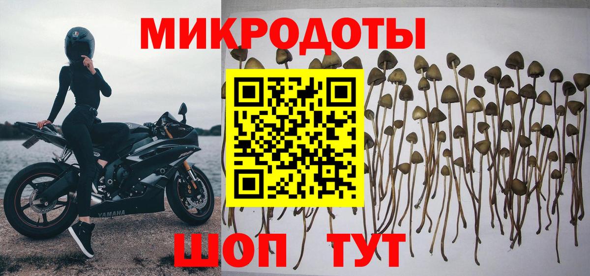 Псилоцибиновые грибы Magic Shrooms  Вход с VPN  купить наркотики сайты  Сочи 