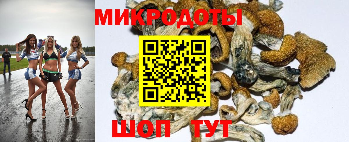 Псилоцибиновые грибы Magic Shrooms Сочи